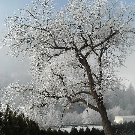 Gasthuis Klammstein Dorfgastein